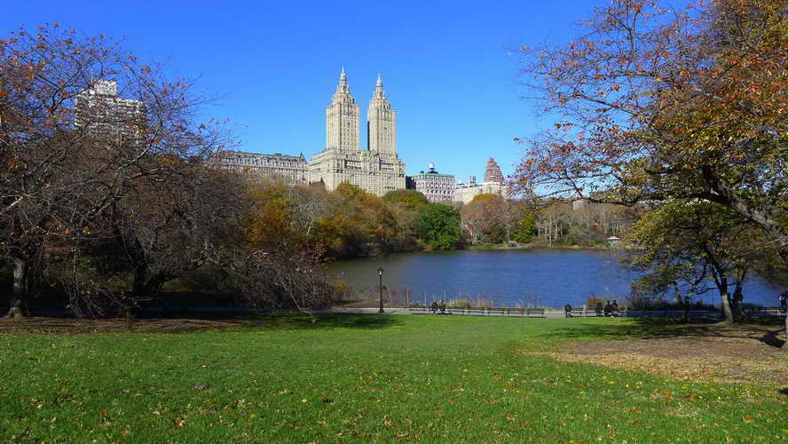 NYC_2017-11-23 11-29-38_P1140154